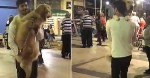 This Video Of A Man Dancing With His Dog To 'Careless Whisper' Could Be Exactly What You Need To See Today This Video Of A Man Dancing With His Dog To 'Careless Whisper' Could Be Exactly What You Need To See Today