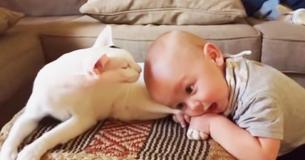 Baby Pulling On Adopted Cat's Leg Makes Mother's Captured Footage Go Viral Baby Pulling On Adopted Cat's Leg Makes Mother's Captured Footage Go Viral