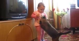 Mama Cat Takes Back Crying Kitten From Kid Mama Cat Takes Back Crying Kitten From Kid
