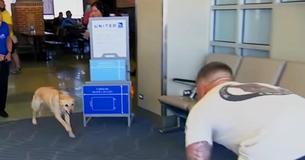 Soldier Turns Around To Find His Former Military Dog Running Toward Him Soldier Turns Around To Find His Former Military Dog Running Toward Him