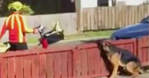 Witness Captures The Moment A Mailman Approaches The Most Dangerous Dog On The Street Witness Captures The Moment A Mailman Approaches The Most Dangerous Dog On The Street