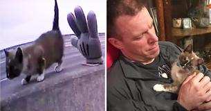 Kitty Trapped On Deadly Highway, Thanks Cop Who Saved Her Life With Cuddles And Purrs Kitty Trapped On Deadly Highway, Thanks Cop Who Saved Her Life With Cuddles And Purrs