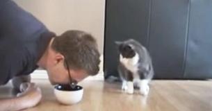 He Pretends To Eat Cat Food, And The Cat's Reaction Is The Funniest He Pretends To Eat Cat Food, And The Cat's Reaction Is The Funniest