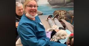 7-Year-Old Boy With Three Cavities Instantly Calms Down Once Dentist Puts Therapy Dog On His Lap 7-Year-Old Boy With Three Cavities Instantly Calms Down Once Dentist Puts Therapy Dog On His Lap