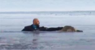 Watch: Heart-Stopping Moment Dog Passed Out On Sheet Of Ice Is Pulled To Safety Barely Alive Watch: Heart-Stopping Moment Dog Passed Out On Sheet Of Ice Is Pulled To Safety Barely Alive
