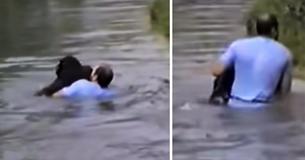 Zoo Staff Refuse To Save Drowning Chimp - Then Man Suddenly Jumps Into Enclosure Zoo Staff Refuse To Save Drowning Chimp - Then Man Suddenly Jumps Into Enclosure