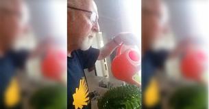 Before Passing Away, Wife Tells Husband to Keep Watering Plants. 5 Years Later He Figures Out Her Joke Before Passing Away, Wife Tells Husband to Keep Watering Plants. 5 Years Later He Figures Out Her Joke
