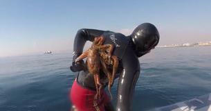 Octopus Won't Let Go Of Diver’s Back Even After He Jumps Out Of Sea Octopus Won't Let Go Of Diver’s Back Even After He Jumps Out Of Sea
