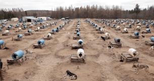 Based On A Horrible Rumor Dog Activist Spies On Private Land, Reality Is Worse Than He Could Fathom Based On A Horrible Rumor Dog Activist Spies On Private Land, Reality Is Worse Than He Could Fathom