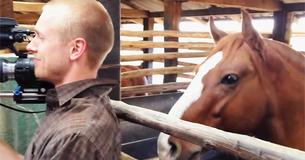 Man Tries Not To Laugh While Recording But Horse's Actions Have Everyone Cracking Up Man Tries Not To Laugh While Recording But Horse's Actions Have Everyone Cracking Up