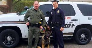Colorado Charity Helps A Police Dog In Need By Covering All Costs For His Surgery Colorado Charity Helps A Police Dog In Need By Covering All Costs For His Surgery