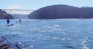 Paddle Boarder Captures Incredibly Rare Event By Chance: The Footage Is Incredible Paddle Boarder Captures Incredibly Rare Event By Chance: The Footage Is Incredible