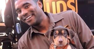 This UPS Driver Has Gone Viral for Posting Sweet Photos Of Dogs He Encounters On His Route This UPS Driver Has Gone Viral for Posting Sweet Photos Of Dogs He Encounters On His Route