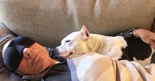 Patrick Stewart's New Foster Dog Is Constantly Smiling At Him Patrick Stewart's New Foster Dog Is Constantly Smiling At Him