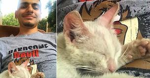 Man Falls Asleep Outside And Wakes Up To A Sleeping Stray Cat On His Belly Man Falls Asleep Outside And Wakes Up To A Sleeping Stray Cat On His Belly