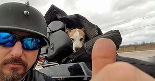 Motociclista testemunha cachorrinho sendo abusado em estrada e para para resolver o problema Motociclista testemunha cachorrinho sendo abusado em estrada e para para resolver o problema