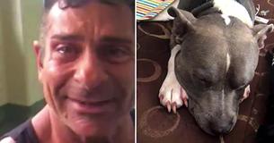 Man Reunited With His Missing Dog Days Before It Was Planned To Be Put Down Will Warm Your Heart Man Reunited With His Missing Dog Days Before It Was Planned To Be Put Down Will Warm Your Heart