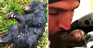 Man Risks Jail And Fine To Save Dying Baby Bear That He Found While Trekking Man Risks Jail And Fine To Save Dying Baby Bear That He Found While Trekking