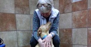 Woman Recognizes Kindred Spirit In Shelter Dog Who Shared Her Heart Condition Woman Recognizes Kindred Spirit In Shelter Dog Who Shared Her Heart Condition