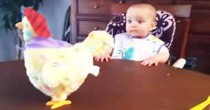 This Baby Girl Is Not Interested In Her Toy Hen - Until It Suddenly Starts Laying Eggs This Baby Girl Is Not Interested In Her Toy Hen - Until It Suddenly Starts Laying Eggs