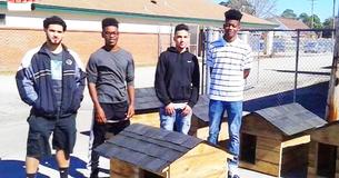 High School Students Make Houses For Dogs And Feral Cats In Need High School Students Make Houses For Dogs And Feral Cats In Need
