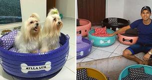 Struggling Artist Transforms Thousands Of Thrown Out Tires Into Colorful Beds For Stray Animals Struggling Artist Transforms Thousands Of Thrown Out Tires Into Colorful Beds For Stray Animals