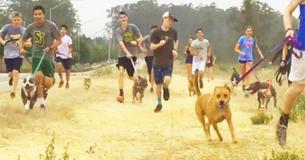 High School Running Team Members Invite Shelter Dogs On Their Morning Run And Everyone Has A Great Time High School Running Team Members Invite Shelter Dogs On Their Morning Run And Everyone Has A Great Time
