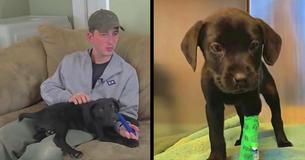 Deaf Man Adopts Deaf Puppy And Teaches Him Commands Using Sign Language Deaf Man Adopts Deaf Puppy And Teaches Him Commands Using Sign Language