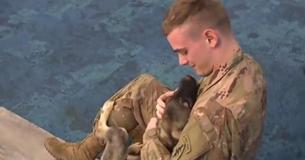 Soldier Reunited With Puppy He Took Care Of After She Was Found Next To Dead Sibling In Syria Soldier Reunited With Puppy He Took Care Of After She Was Found Next To Dead Sibling In Syria