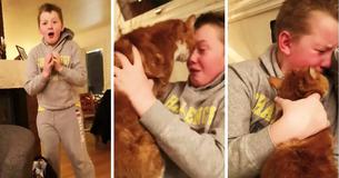 Little Kid Left Sobbing Moment He's Reunited with Missing Cat Little Kid Left Sobbing Moment He's Reunited with Missing Cat