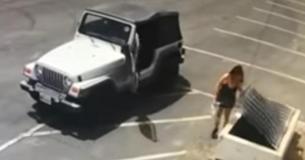 Woman Brutally Throws Plastic Bag With 7 Puppies In The Dumpster: Woman Brutally Throws Plastic Bag With 7 Puppies In The Dumpster: