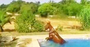 No One Would Believe This Man When He Described His Horse's Afternoon Ritual - So He Caught It On Film No One Would Believe This Man When He Described His Horse's Afternoon Ritual - So He Caught It On Film