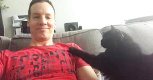 Very Polite Cat Gently Taps Owner For Affection Very Polite Cat Gently Taps Owner For Affection
