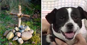 Father Buries Dog Hit By Car - However, 14 Hours Later, He's Waiting At Their Front Door Father Buries Dog Hit By Car - However, 14 Hours Later, He's Waiting At Their Front Door