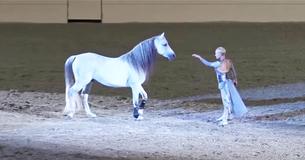 Woman Reaches Her Arm To Horse But It’s Horse’s Move Making Everybody’s Eyes Bulge Woman Reaches Her Arm To Horse But It’s Horse’s Move Making Everybody’s Eyes Bulge