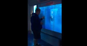 Man Touches Glass At Aquarium Display Only To Get Knocked Off His Feet In Sheer Terror Man Touches Glass At Aquarium Display Only To Get Knocked Off His Feet In Sheer Terror