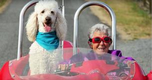 90-Year-Old Woman Said 'No' To Chemo, Lived Life To The Fullest By Traveling With Her Dog 90-Year-Old Woman Said 'No' To Chemo, Lived Life To The Fullest By Traveling With Her Dog