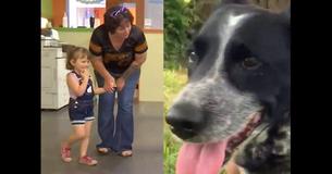 After Stray Pup Stands Between Toddler And Attack, Kid's Family Adopts Their New Hero After Stray Pup Stands Between Toddler And Attack, Kid's Family Adopts Their New Hero