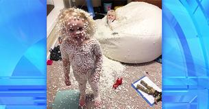 Why I Don't Have Kids: Bad Bean Bag Babies Edition Why I Don't Have Kids: Bad Bean Bag Babies Edition