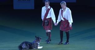 Casal se prepara para apresentar a rotina de “Riverdance”, mas a performance de um cachorro rouba toda a cena Casal se prepara para apresentar a rotina de “Riverdance”, mas a performance de um cachorro rouba toda a cena