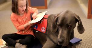 Having Dogs In School Improves SEL, Cognitive, And Even Reading Skills Having Dogs In School Improves SEL, Cognitive, And Even Reading Skills