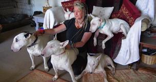 A Man Forced His Wife To Choose Between Her Dogs And Him, And She Stayed With The Dogs A Man Forced His Wife To Choose Between Her Dogs And Him, And She Stayed With The Dogs