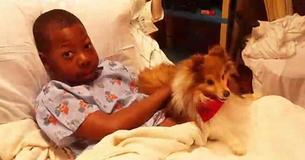 Miracle Boy Beats Cancer And Survives Kidney Failure At Only 9-Years-Old Miracle Boy Beats Cancer And Survives Kidney Failure At Only 9-Years-Old