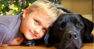 Miracle Dog Rescues His 10-Year-Old Owner Day After Day Miracle Dog Rescues His 10-Year-Old Owner Day After Day