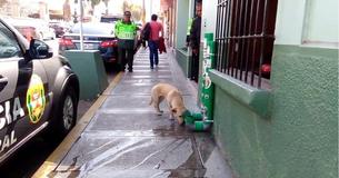 Police Install Brilliant 'Stations' Around Town For Stray Dogs And They Deserve Our Applause Police Install Brilliant 'Stations' Around Town For Stray Dogs And They Deserve Our Applause