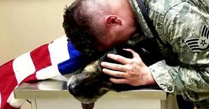 Soldiers Bid Farewell To K-9 Hero By Draping Him With American Flag Soldiers Bid Farewell To K-9 Hero By Draping Him With American Flag