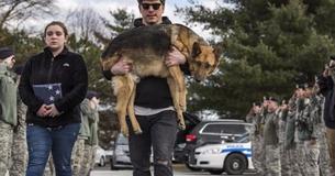 Retired Military K9 Receives A Touching Retired Military K9 Receives A Touching