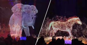 Circus In Germany Uses Giant Holograms Instead Of Live Animals To Raise Awareness About Animal Rights Circus In Germany Uses Giant Holograms Instead Of Live Animals To Raise Awareness About Animal Rights
