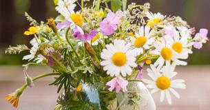 Flowers Do Actually Make You Feel Better - Studies Reveal They Reduce Anxiety And Stress Flowers Do Actually Make You Feel Better - Studies Reveal They Reduce Anxiety And Stress