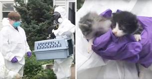 182 Cats Rescued From Single Property So Full Of Refuse And Feces It Was Barely Breathable 182 Cats Rescued From Single Property So Full Of Refuse And Feces It Was Barely Breathable